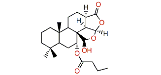 Aplyroseol 1